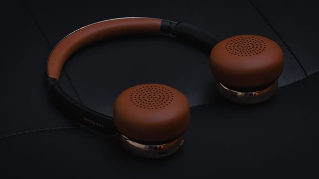 Wireless Bluetooth Headphones
